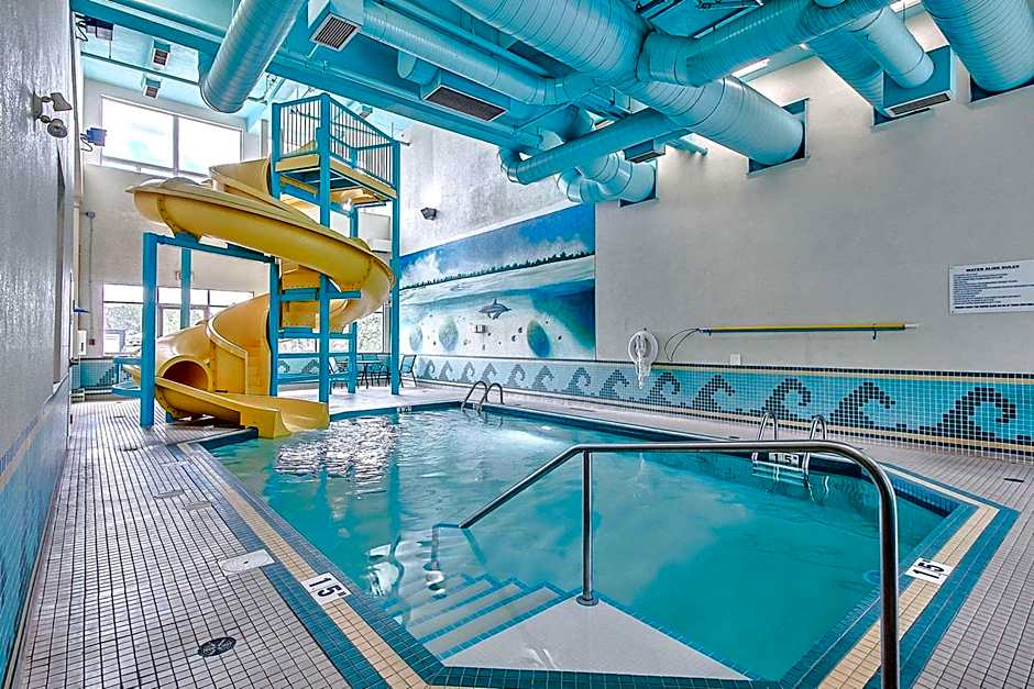 Comfort Inn And Suites South