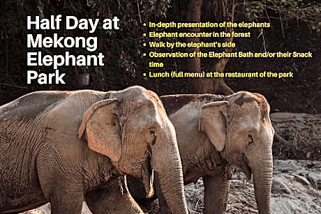 Double or Twin Room with Mekong Elephant Experience Tour