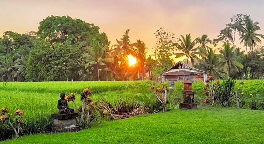 Umasari Rice Terrace Villa by AGATA 