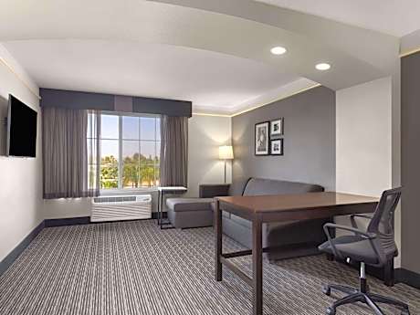 Executive King Room - Non-Smoking