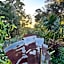 Noosa Hinterland Escape