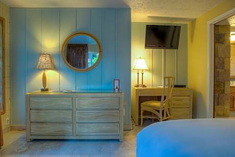Junior Suite, 1 King Bed, Garden View