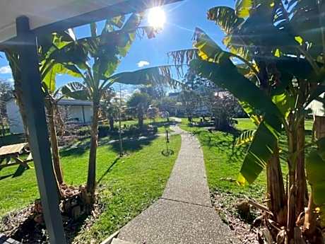 White Elephant Backpackers  Lodge