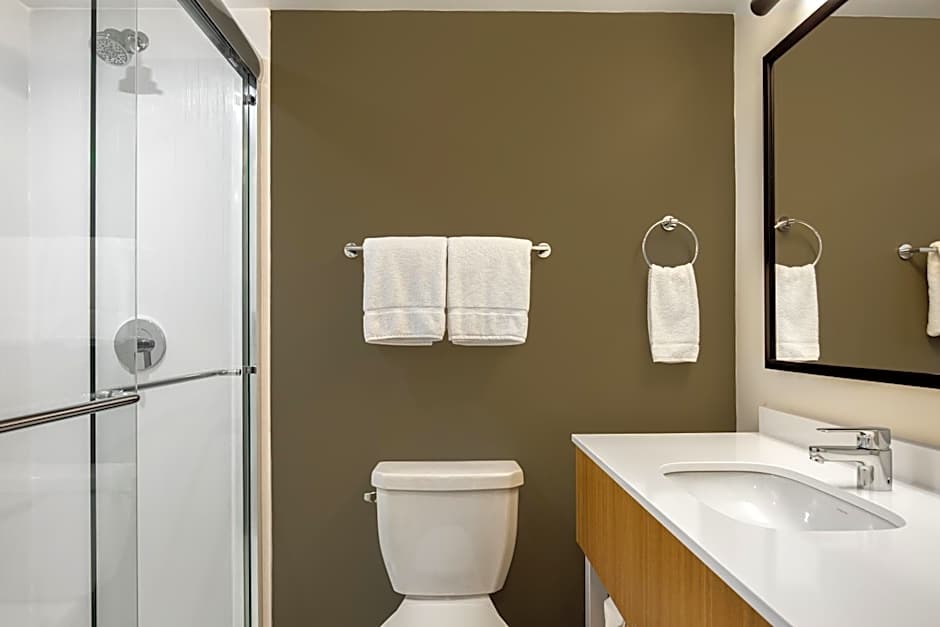 Spark by Hilton Edmundston