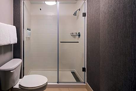 King Studio with Sofa Bed