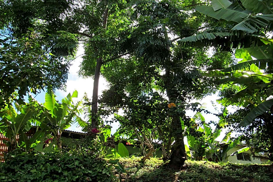 Easter Island Ecolodge