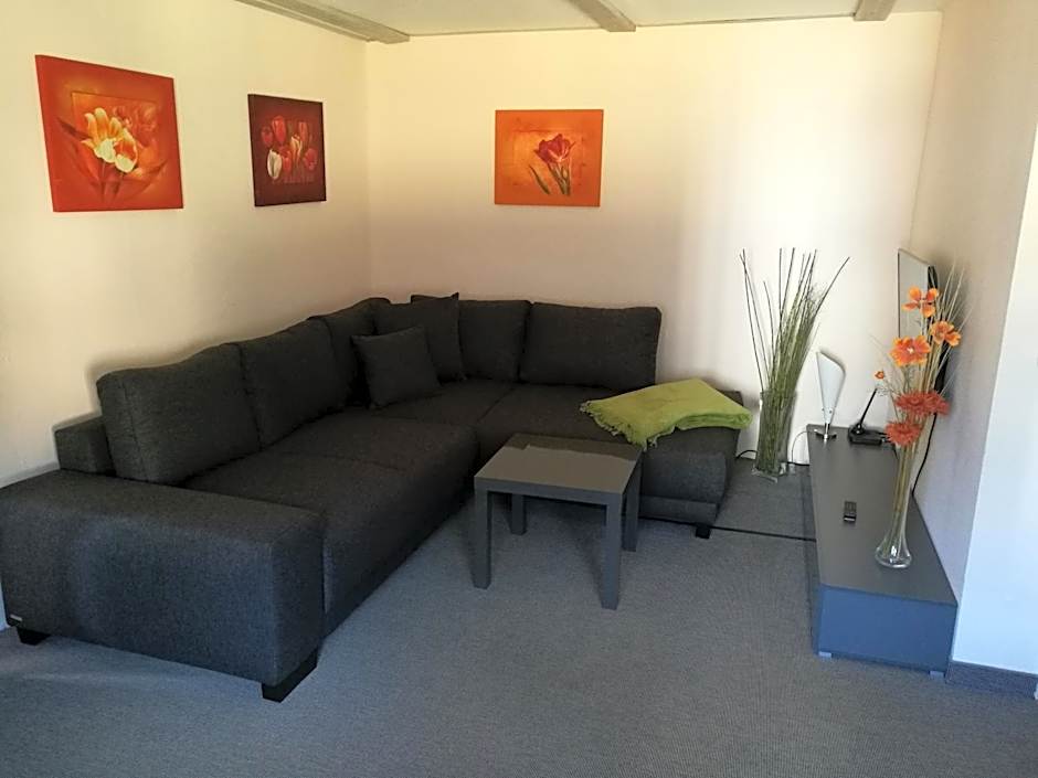 Elbhangzimmer Dresden