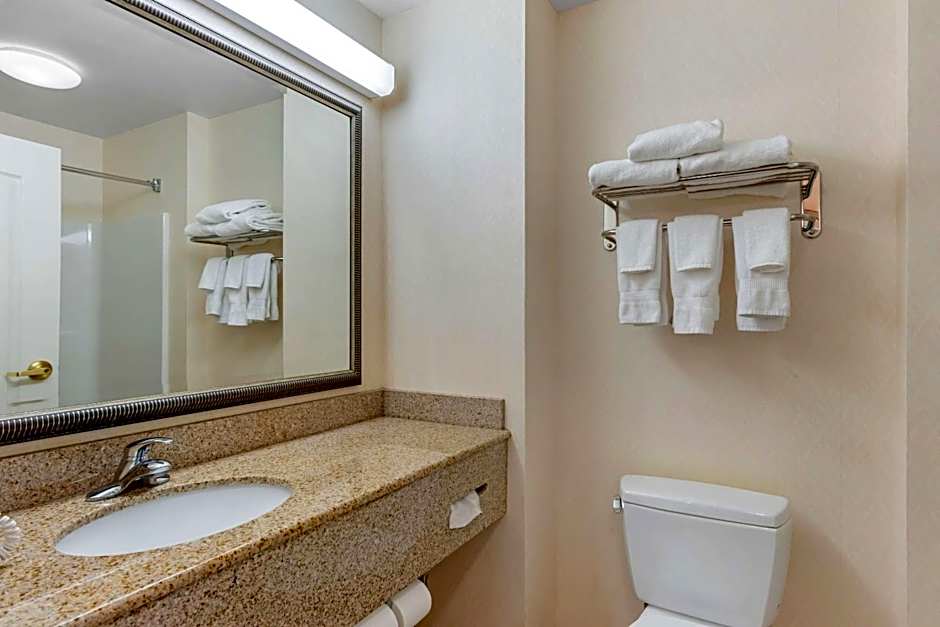 Comfort Inn & Suites Dover near Speedway