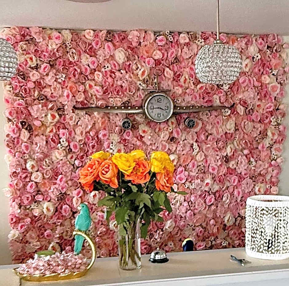 New 2025-Ocean Sands Beach Boutique Inn-Sauna and Salt-Mineral Pool -Free Beach Bikes and Famous Beach-Nightly Popcorn-Bathrobes and Sunscreen in all rooms-Ultra Sparkling-Free Laundry-4 Grand Presidential Black Beds in all rooms-Savings#252-242-SAND