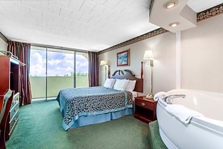 Deluxe Studio Suite 1 King Bed Non Smoking Mountain View