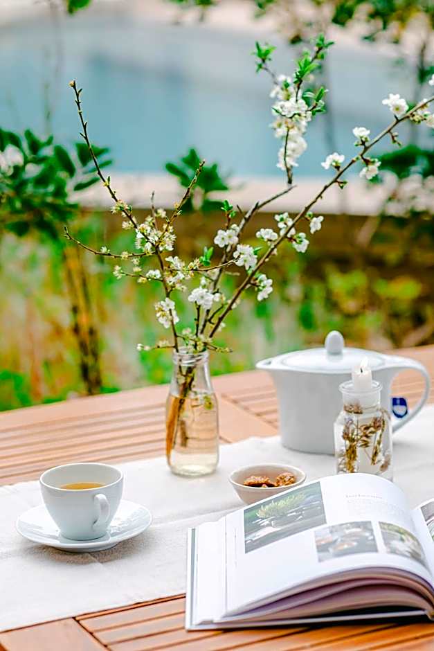 The Nest by Cooking and Nature