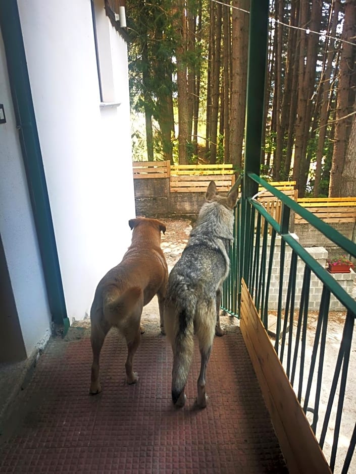 Perla della Sila B&B