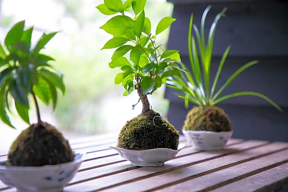 Yufuin Bath Satoyamasafu