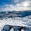 Hovdestøylen