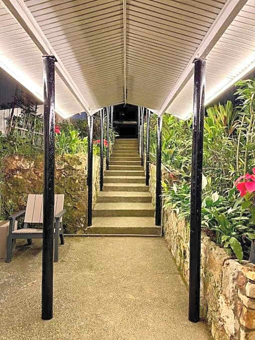 Mid-Century Modern Centrally Located Garden Oasis