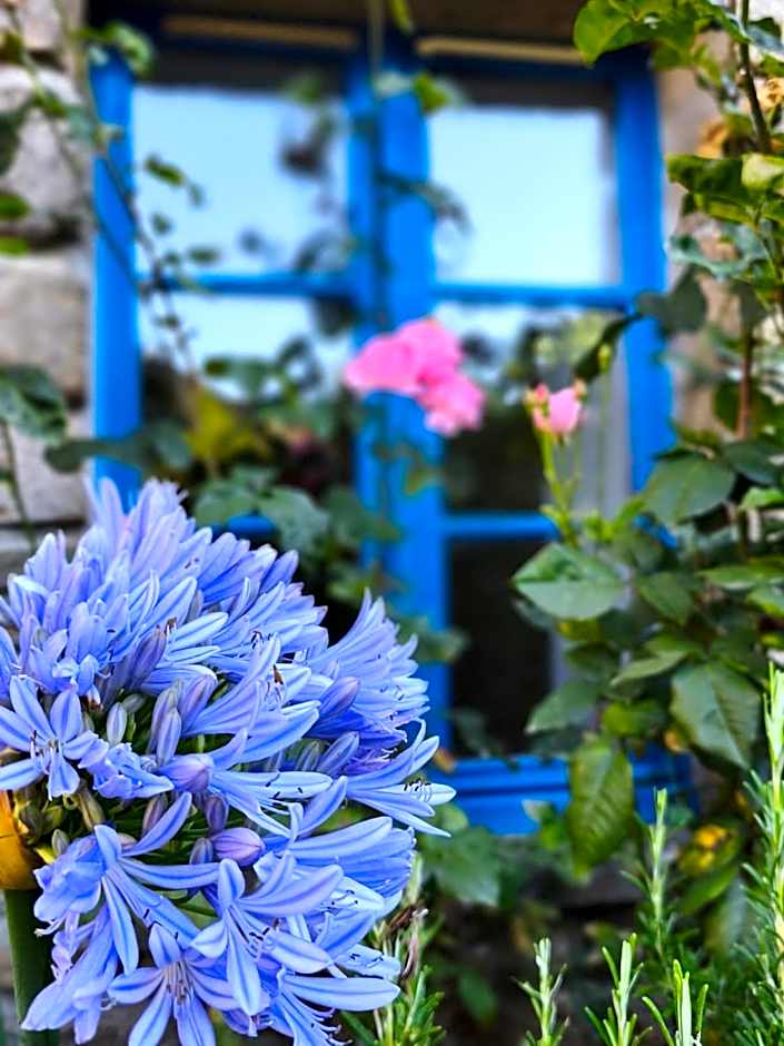 Manoir Des Douets Fleuris