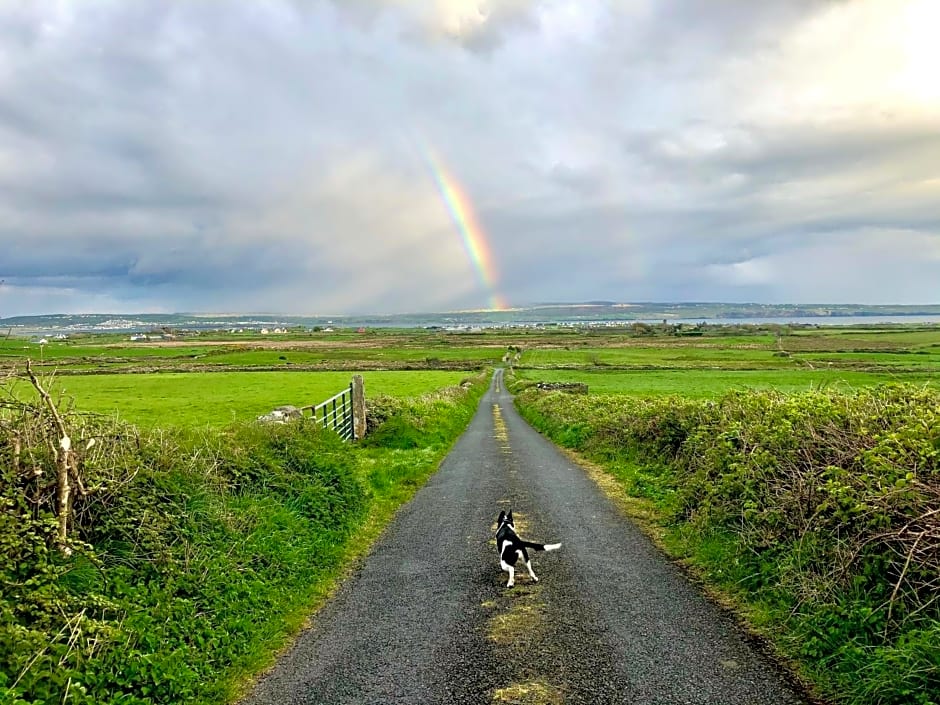 Ocean View Guestrooms