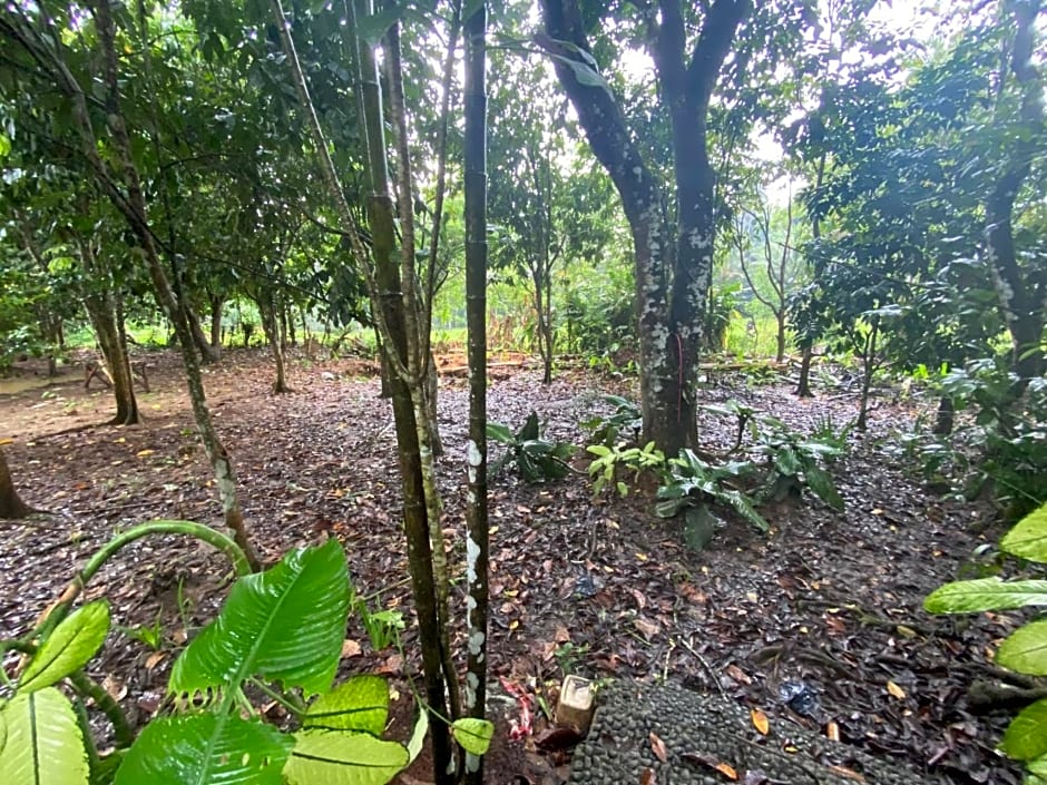 Sinta's Garden, Fortugaleza Farm