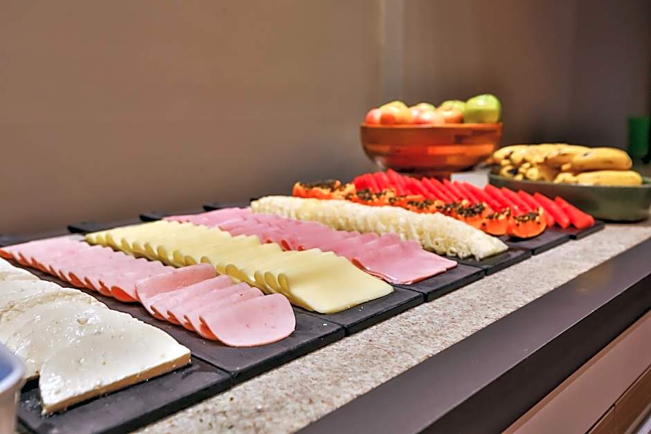 Ibis Styles Sao Paulo Barra Funda