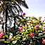 Havenlee Homestay
