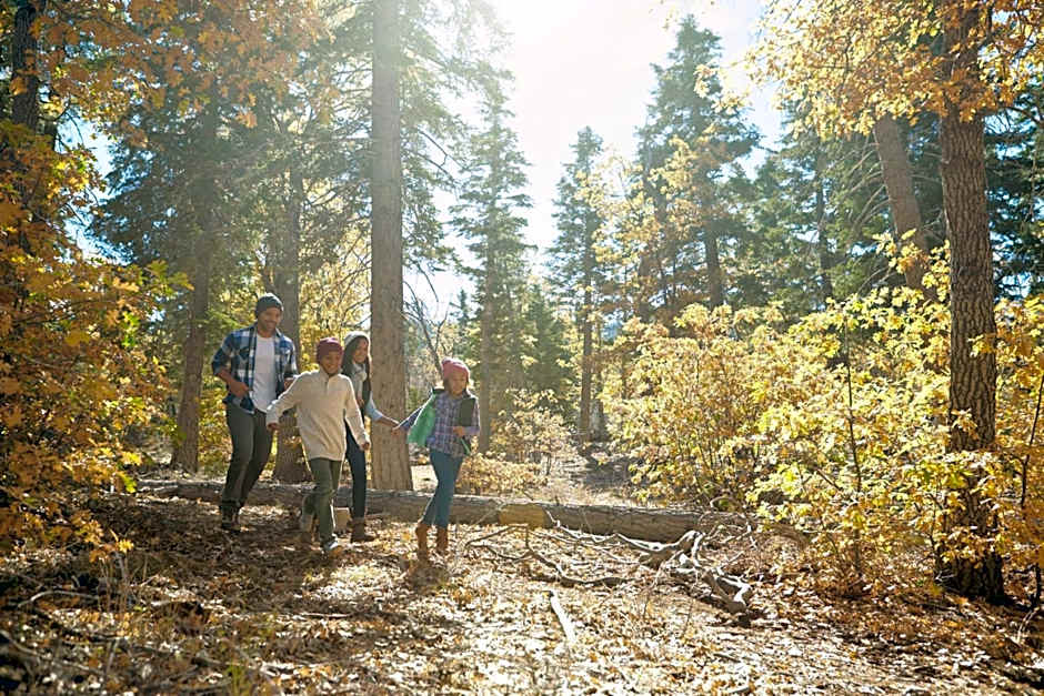 Holiday Inn Cheshire - Southington By IHG