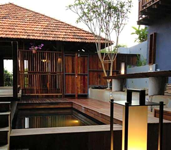 The Shorea