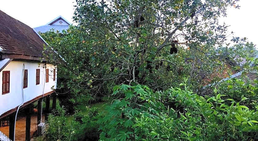 Soutikone1 Guesthouse