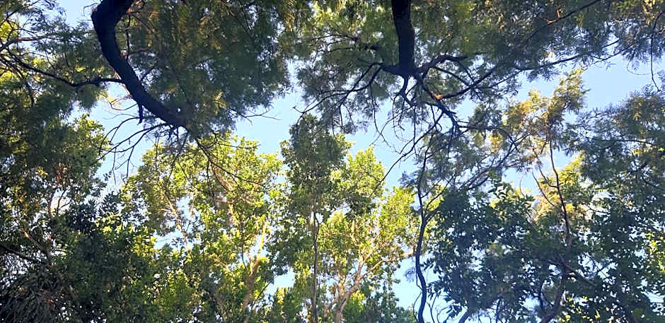 Suikerbosrant Sleep and go