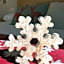 Abete Bianco