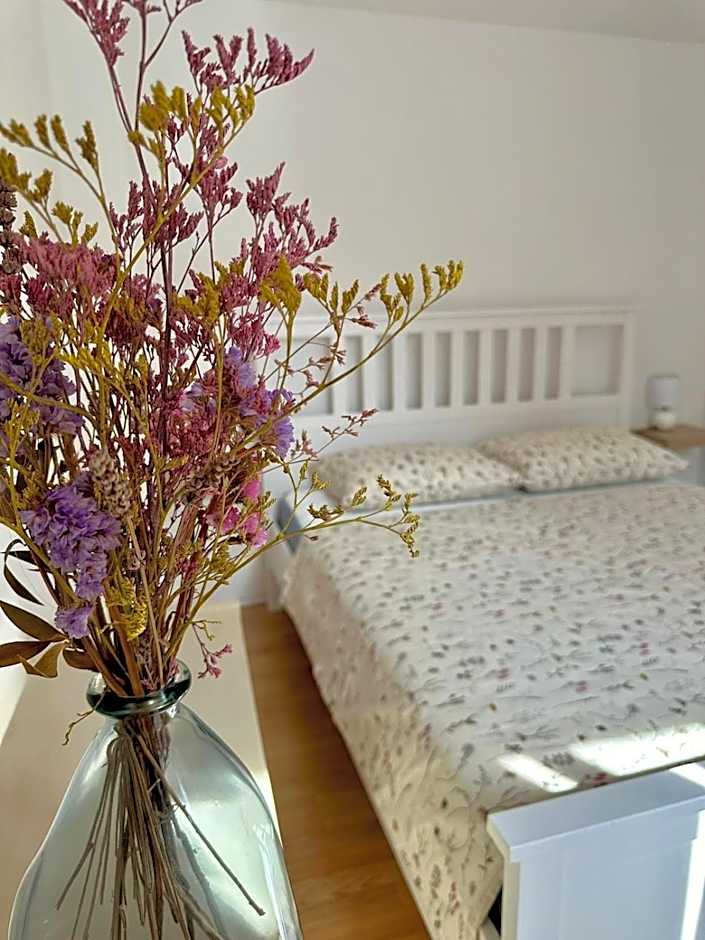 Hisa Rejmr with private parking