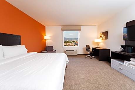 1 King Standard Accessible