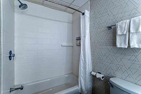 2 Queen Suite Sofa Bed