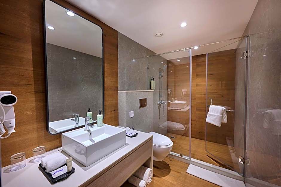 Delite Sarovar Portico Faridabad