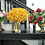 Thuy Duong Boutique Hotel Hue