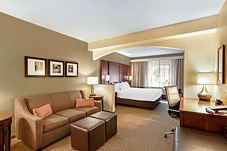 1 King Bed with Sofa Bed, 1-Person Whirlpool In Bath