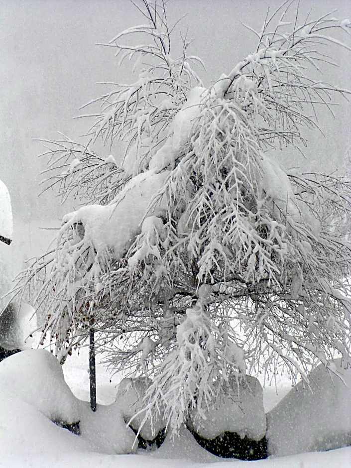 Apartments Residence Alta Badia