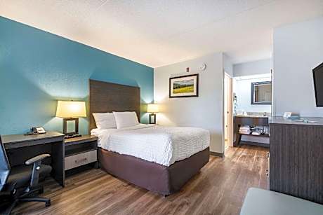 1 Double Bed - Non-Smoking