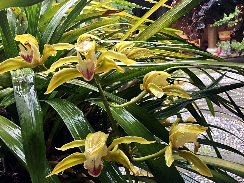 Lijiang Lize Graceland Artistic Suite Inn