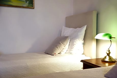 Double or Twin Room (24)