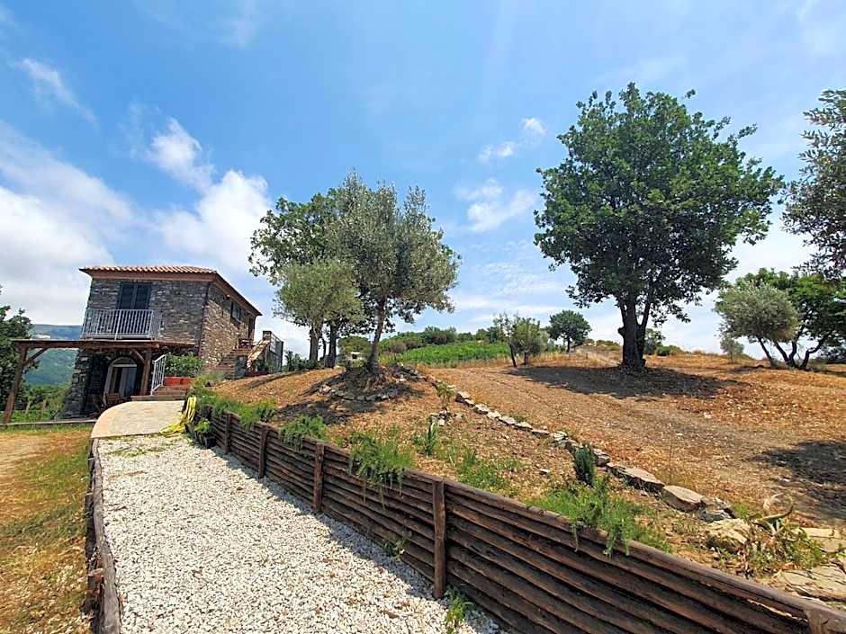 Agriturismo Le Terre di Veneré