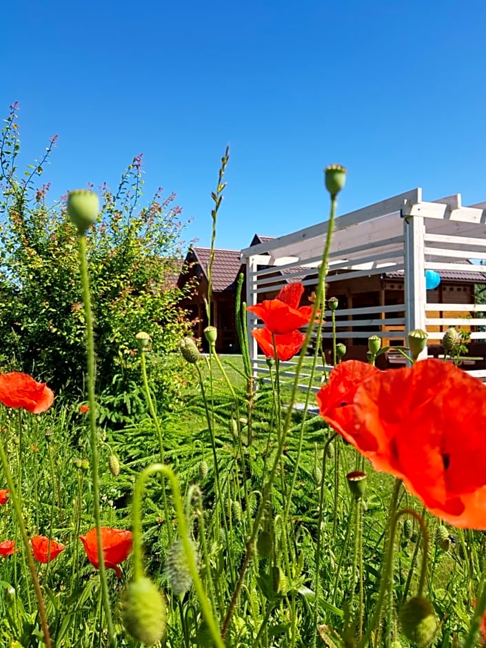 Domki Morskie Opowieści