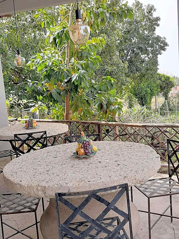 Il Vitigno di Dioniso