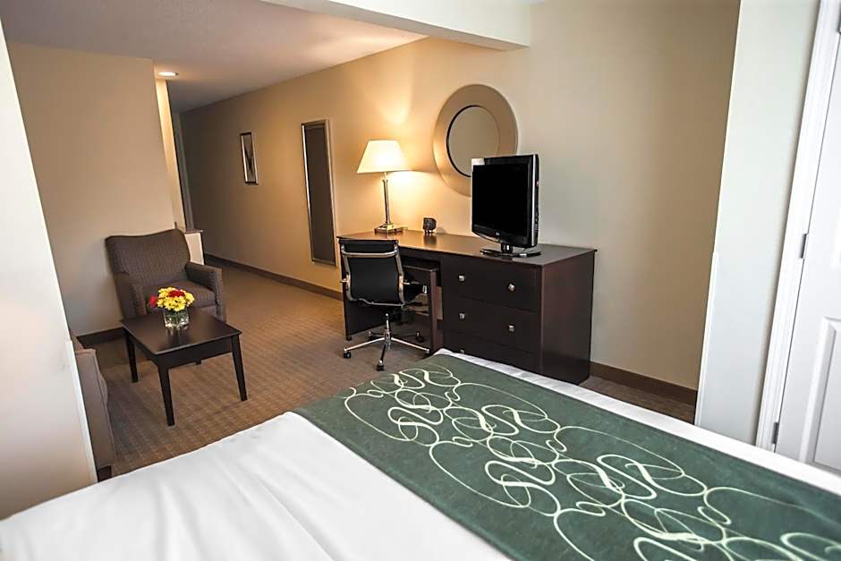 Comfort Suites University Area