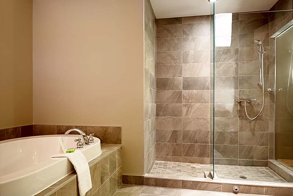 Le Dauphin St-Hyacinthe