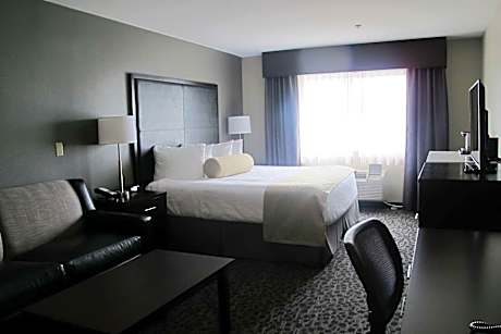 King Room with Bath Tub and Sofa Bed - Mobility Accessible