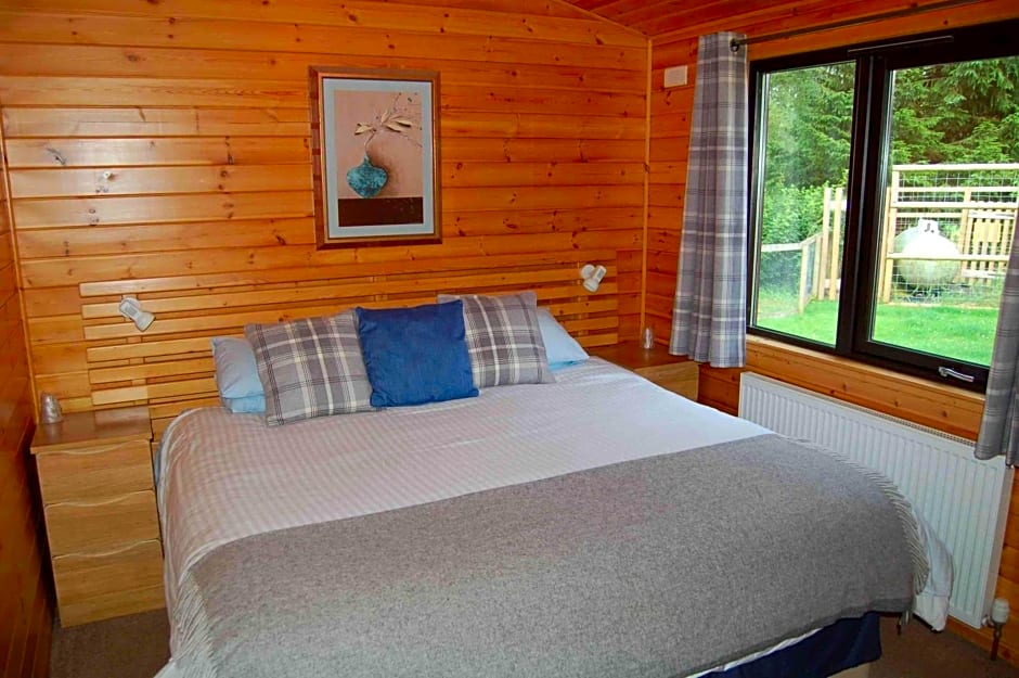 Luxury woodland Alder Lodge