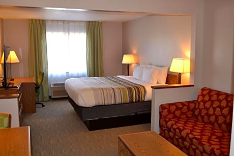 1 King Bed, Suite, Nonsmoking, Accessible