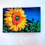 Bed&Breakfast degli ulivi