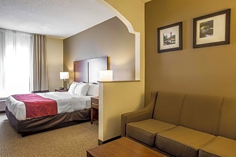 1 King Bed, Suite, Nonsmoking