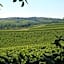 Tenuta Di Monaciano